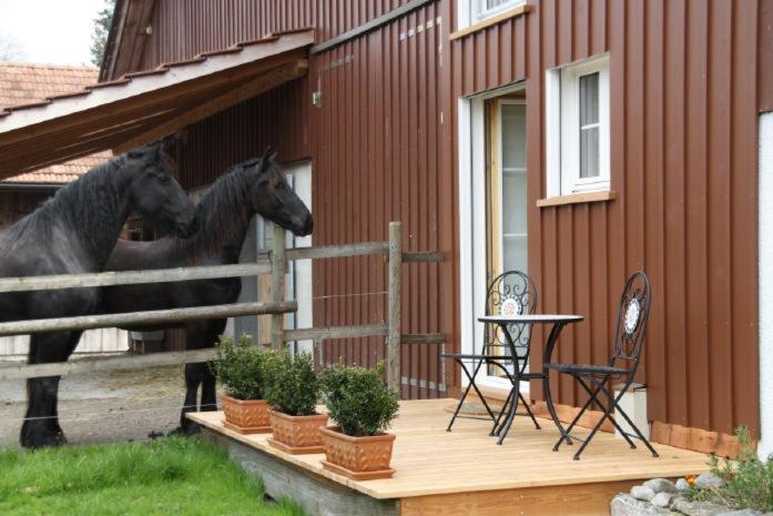 Bnb Haag Eksteriør billede